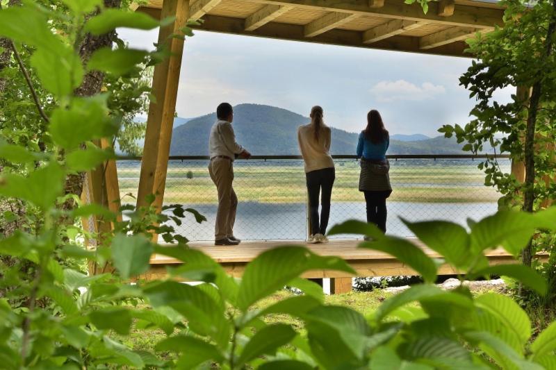 Apartmán Hisa Zdravega Oddiha Begunje pri Cerknici Exteriér fotografie